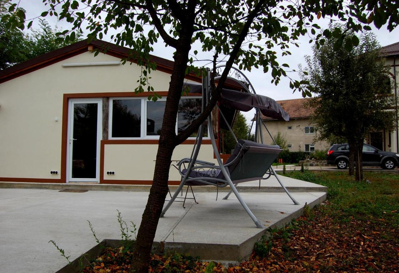 Vila Phoenix Călimăneşti Exteriér fotografie