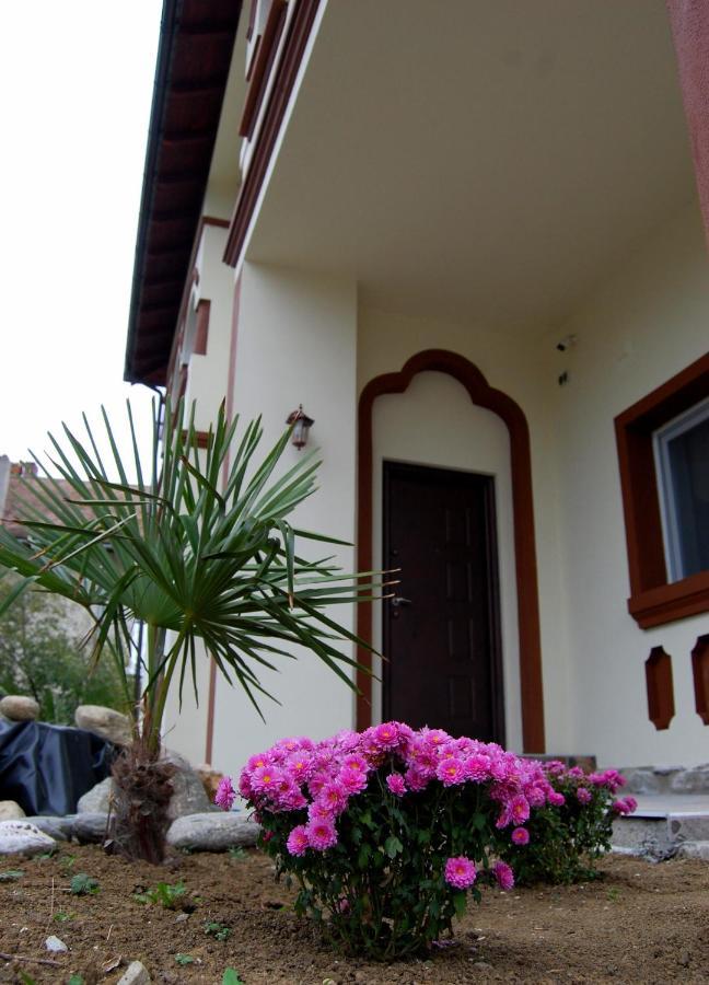 Vila Phoenix Călimăneşti Exteriér fotografie