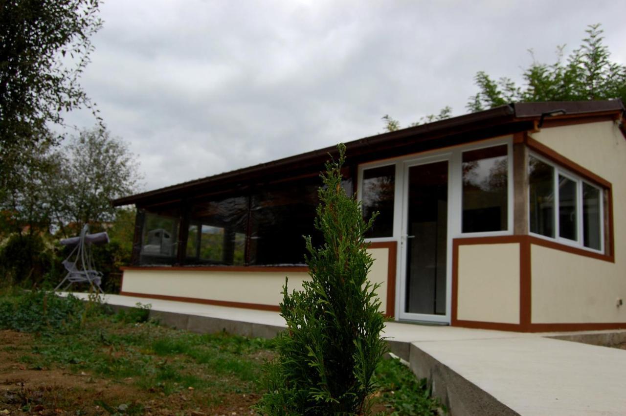 Vila Phoenix Călimăneşti Exteriér fotografie