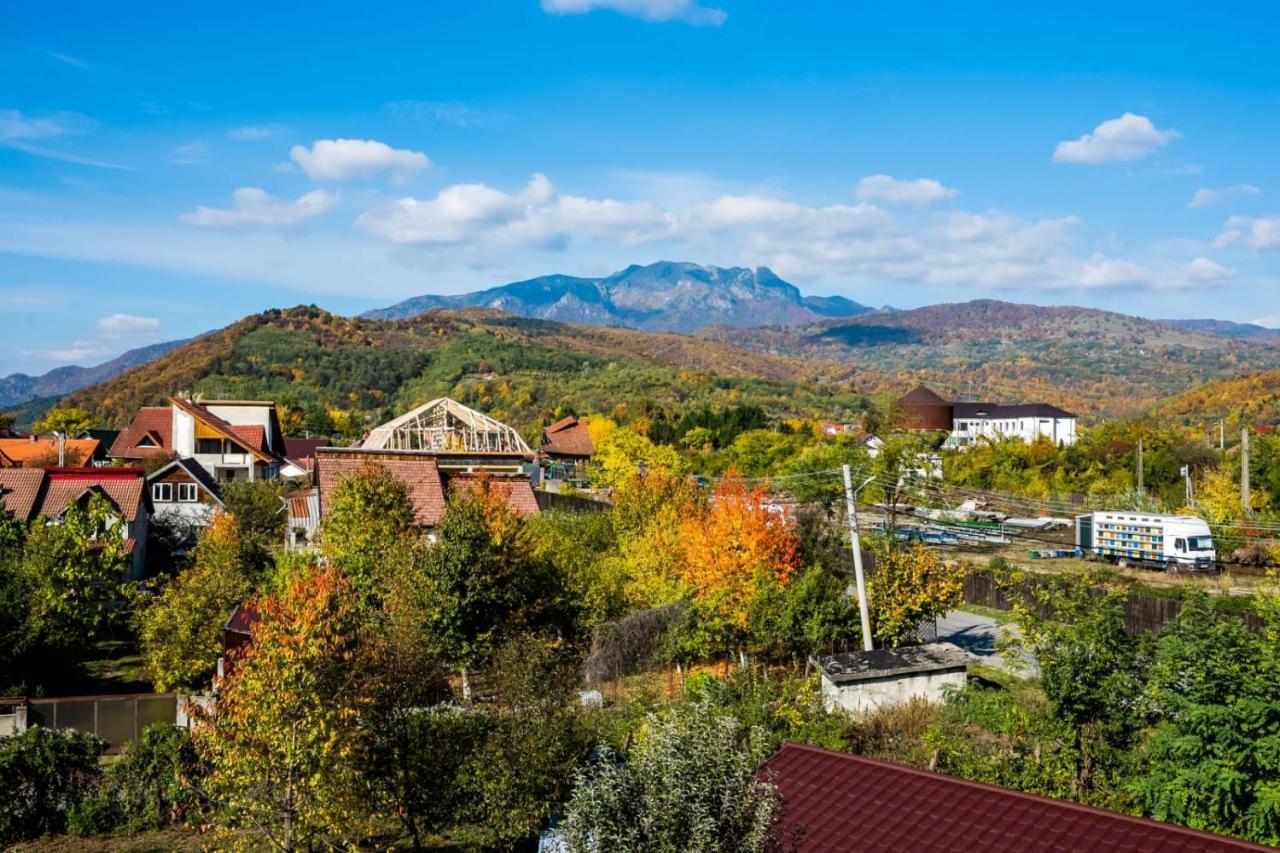 Vila Phoenix Călimăneşti Exteriér fotografie