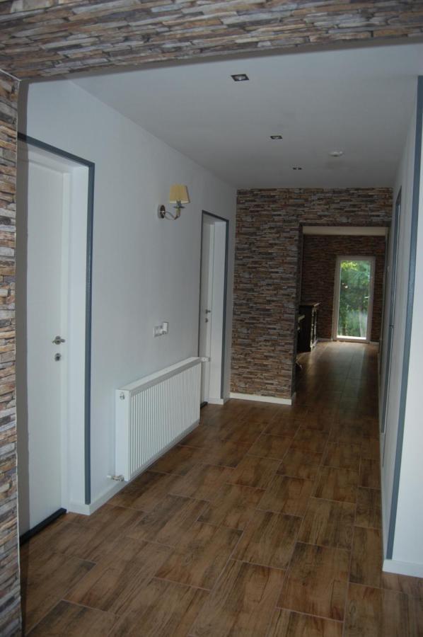 Vila Phoenix Călimăneşti Exteriér fotografie
