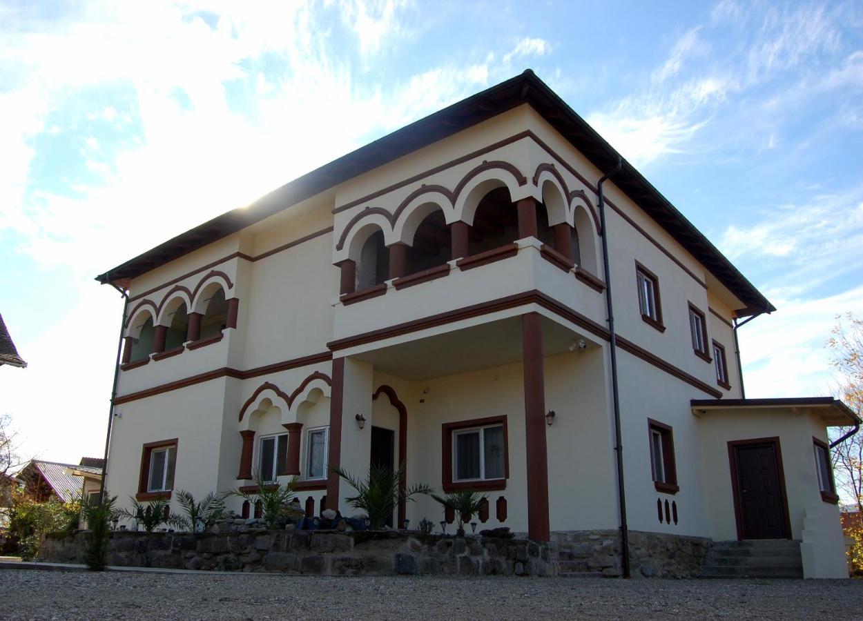 Vila Phoenix Călimăneşti Exteriér fotografie