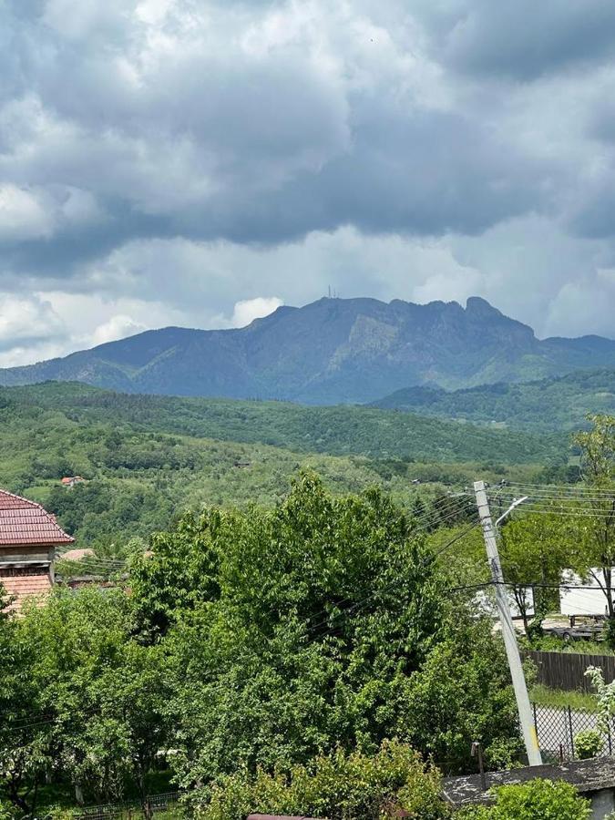 Vila Phoenix Călimăneşti Exteriér fotografie